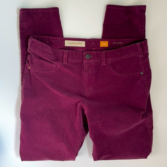 Pilcro & the Letterpress Mauve Curduroy Pants - Picture 1 of 12
